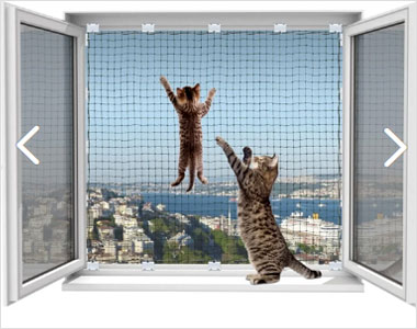 kedi güvenlik ürünleri