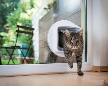kedi pet giriş kapısı