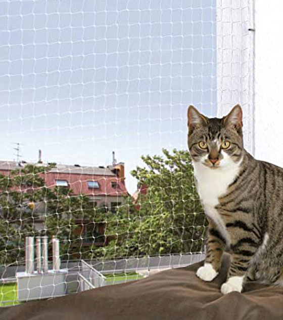 Kedi Koruma Teli